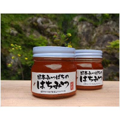 日本ミツバチの純粋はちみつ 480g