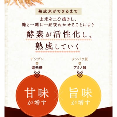 [熟成米]佐賀県唐津市産 特別栽培米 夢しずく5kg 佐賀県唐津市産さがびより5kg(合計10kg)