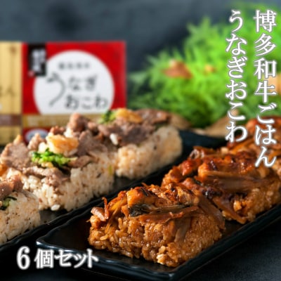 (一粒庵)霧島湧水うなぎおこわと博多和牛ごはん 6個セット(各3個)