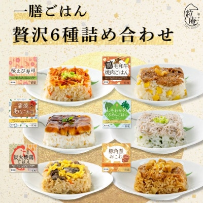 一膳ごはん 贅沢6種詰め合わせ
