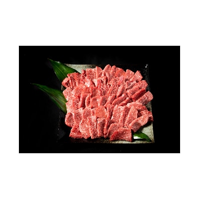 佐賀牛 赤身焼肉用 400g×2パック