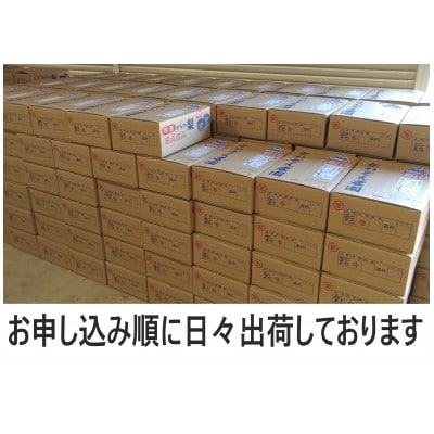 先行受付　2025年秋　人気品種のみ　特栽　今が食べごろ旬の梨10キロ　農家直送　佐賀県唐津市産