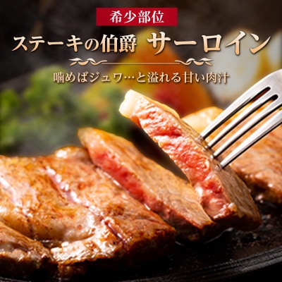 A5～A4等級佐賀牛サーロインステーキ2枚(400g)と佐賀牛極上ハンバーグ(140g×6個)