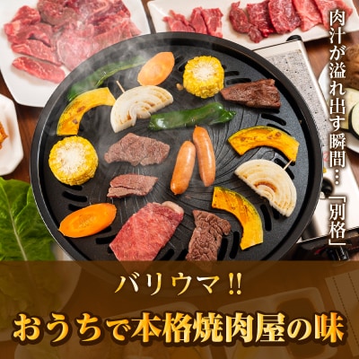 BBQや焼肉に!佐賀牛A5～A4　ロース(サーロイン・リブロース・肩ロース)焼肉用大判カット500g