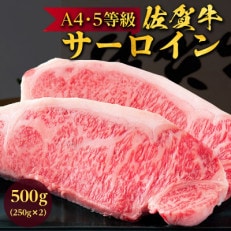 佐賀牛A5～A4ランクサーロインステーキ500g(約250g×2枚)