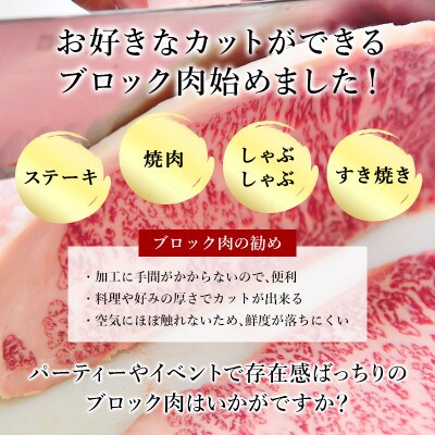 【プロシリーズ】佐賀牛赤身とサシの”イチボ”ブロック 1kg