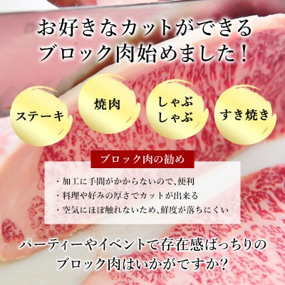 【プロシリーズ】佐賀牛赤身の極み”モモブロック” 1kg