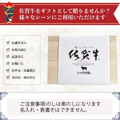 【のし付き】A5～A4等級佐賀牛サーロイン約500g(約250g×2枚)