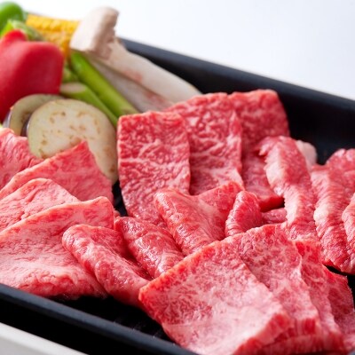 21年9月発送開始 定期便 佐賀牛bbqや焼肉好きな方におすすめ定期便全6回 お礼品詳細 ふるさと納税なら さとふる