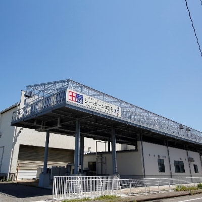 ＜唐津・昭徳＞数量限定　天然旬魚の無塩切身〔C-3〕