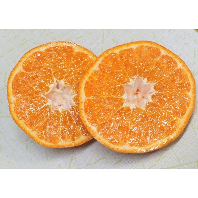 唐味香　3kg