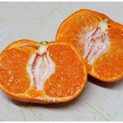 唐味香　3kg