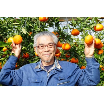糖度が高すぎッ!　新品種の 「味香デコ」5kg