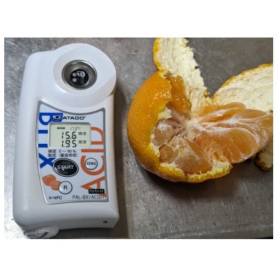 糖度が高すぎッ!　新品種の 「味香デコ」5kg