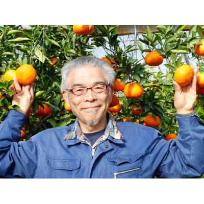 果皮も美味しく! 幻の希少高級　味香みかん100% 無添加果汁500ml瓶　飲み比べ2種2本セット