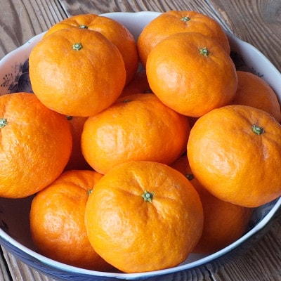 果皮も美味しく! 幻の希少高級　味香みかん100% 無添加果汁500ml瓶　飲み比べ2種2本セット