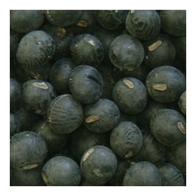 国産黒豆麦茶40P　8本セット
