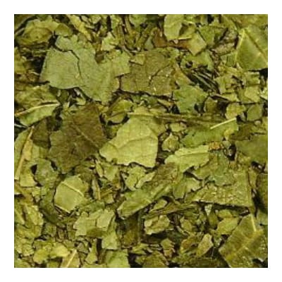 杜仲茶24P　6箱セット