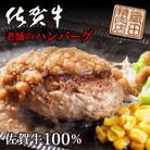 佐賀牛ハンバーグ　150g×5個