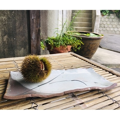 日々の暮らしの器 No.4