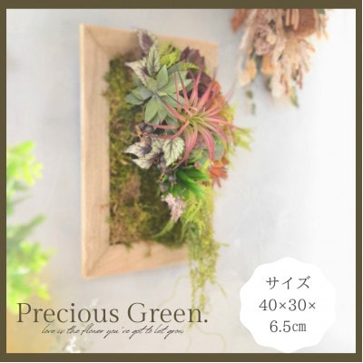 豪華な空間演出を叶えるアート多肉植物フレームアレンジ【プレシャス・グリーン】