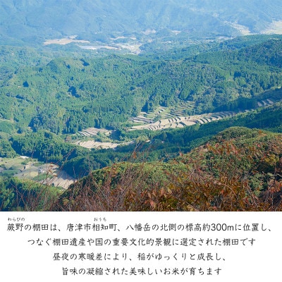 【令和7年産】特別栽培米「棚田米蕨野」10kg(5kg×2袋)