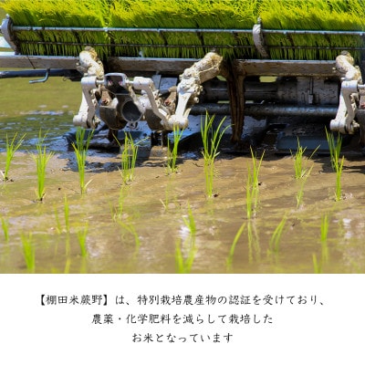 【令和7年産】特別栽培米「棚田米蕨野」10kg(5kg×2袋)