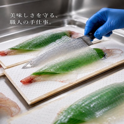 【先行受付　2026年7月上旬より順次発送】呼子のいか活造り　(1杯)