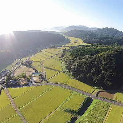 2020年1月発送開始『定期便』令和元年産特別栽培米「夢しずく」(唐津市産)15kg　全3回