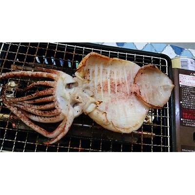 九州玄海灘育ち真いか開きセット