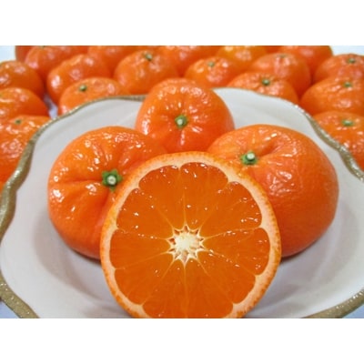 唐津産　マーコット　ハウス栽培　5kg