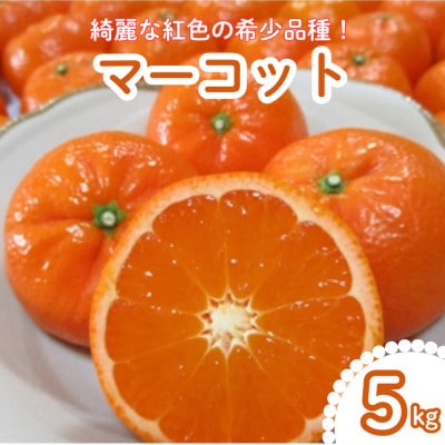 唐津産　マーコット　ハウス栽培　5kg