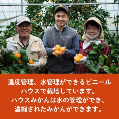 唐津産　マーコット　ハウス栽培　5kg