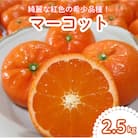 唐津産　マーコット　ハウス栽培　2.5kg