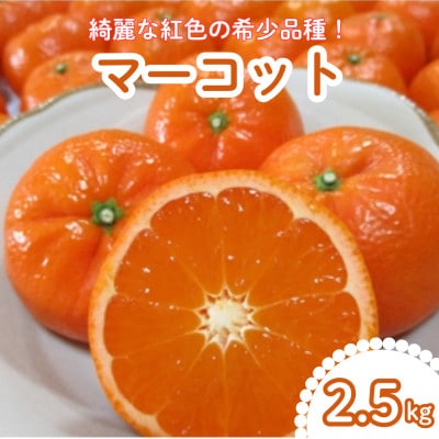 唐津産　マーコット　ハウス栽培　2.5kg
