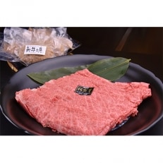 佐賀牛(A5～A4)すき焼き用肩ロース肉500gと佐賀県産和牛&唐津産金桜豚手ごねハンバーグ5個