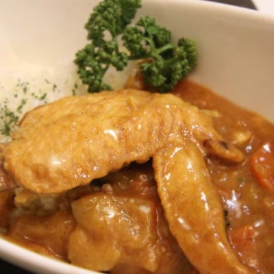 唐津市呼子産　あまなつカレー　200g×10個セット