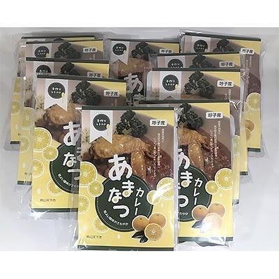 唐津市呼子産　あまなつカレー　200g×10個セット