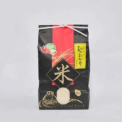 【令和5年産】 一等米 佐賀県唐津市産ひのひかり 5kg
