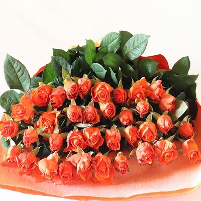 【産地直送】バラの花束　オレンジ色のみ36本　60cm以上の薔薇を厳選(ギフト用)