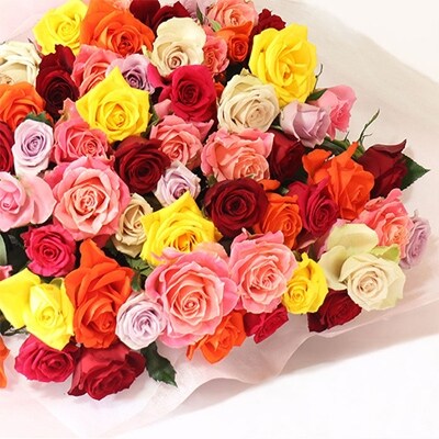 【産地直送】バラ(薔薇)の花束 ミックス60本 (ギフト用)
