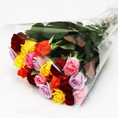 産地直送 家庭用バラの花束 ミックス本 40cm程度の薔薇を厳選 お礼品詳細 ふるさと納税なら さとふる
