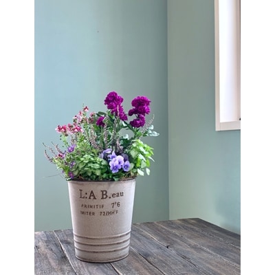 irodoriからつ　四季の返礼品-唐津の寄せ植え(青・パープル系)