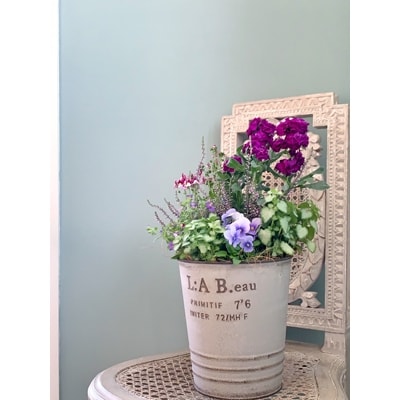 irodoriからつ　四季の返礼品-唐津の寄せ植え(青・パープル系)