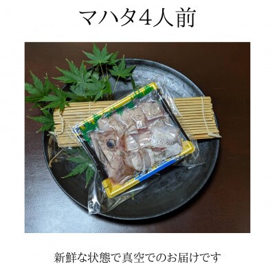 irodoriからつ 四季の返礼品～冬～ マハタ鍋4人前セット