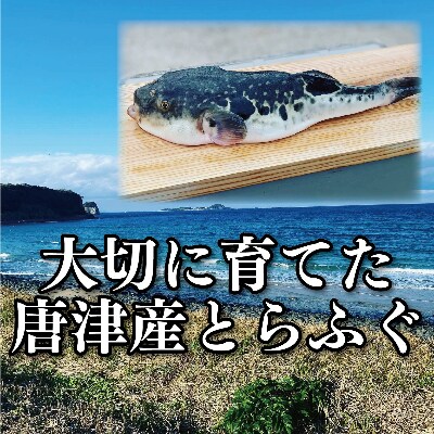とらふぐのスパイシー唐揚げ　250g×3袋