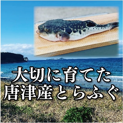 とらふぐのスパイシー唐揚げ　250g×6袋