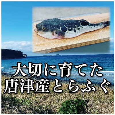 唐津 灯庵よかよかセット