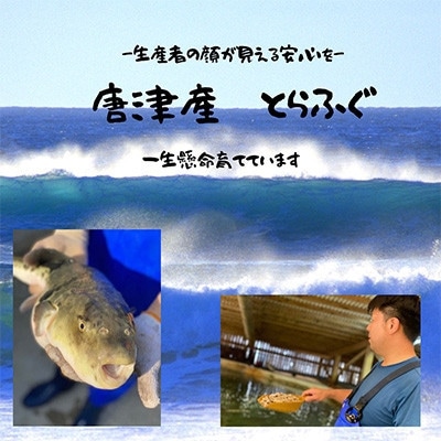 唐津産 とらふぐてっさと切り身の贅沢食べ比べ! 12人前