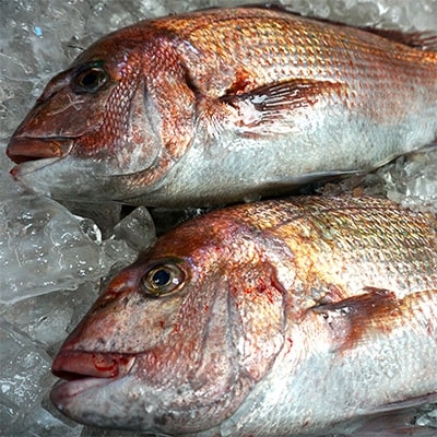 【九州唐津の日本料理店 花菱からお届け】玄界灘の鯛(たい)そぼろと佐賀県産すっぽんスープのセット